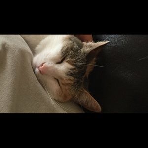 Meet your Posher, Leah